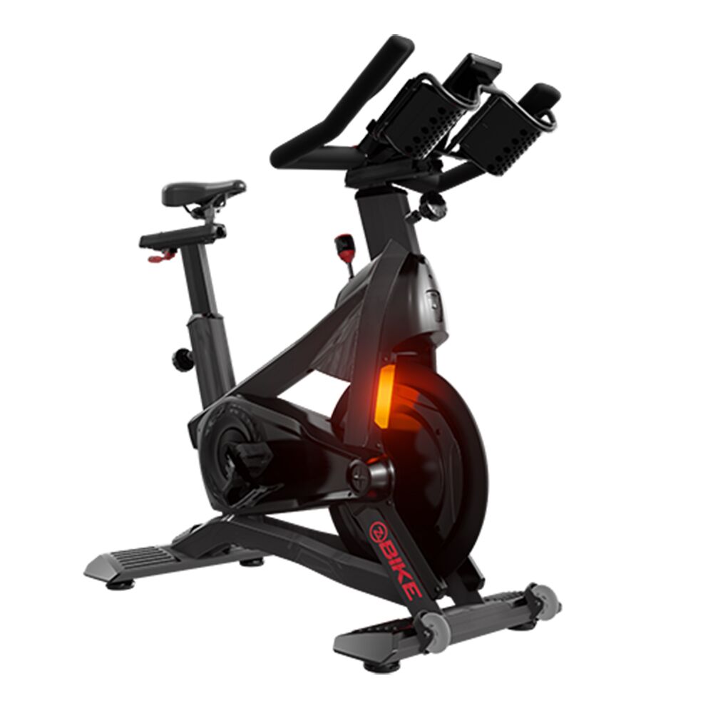 Schwin-Z-Bike