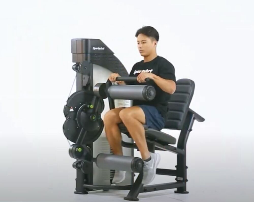 SportsArt DF-300
