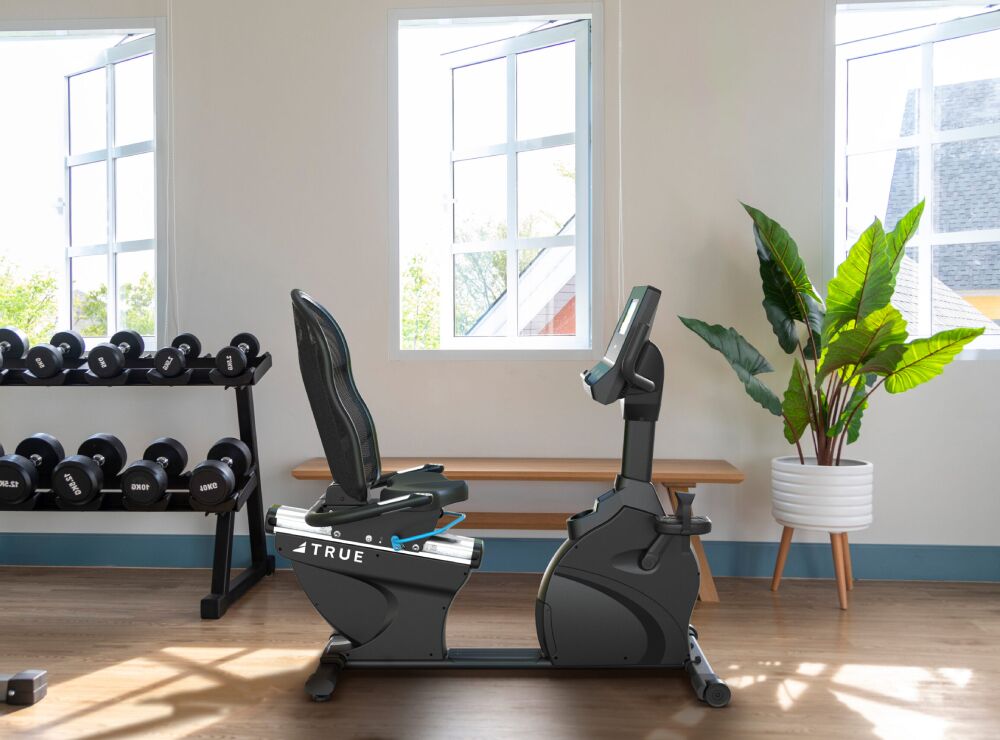 TRUE Performance Series Recumbent Bike (5)