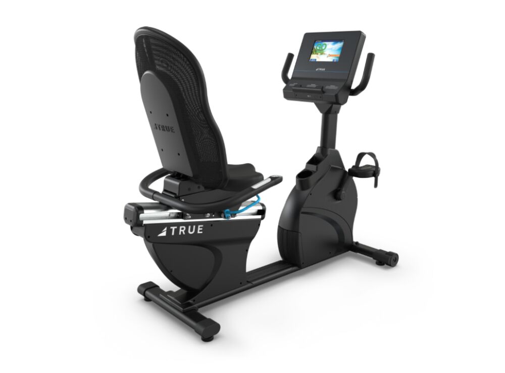 TRUE Performance Series Recumbent Bike