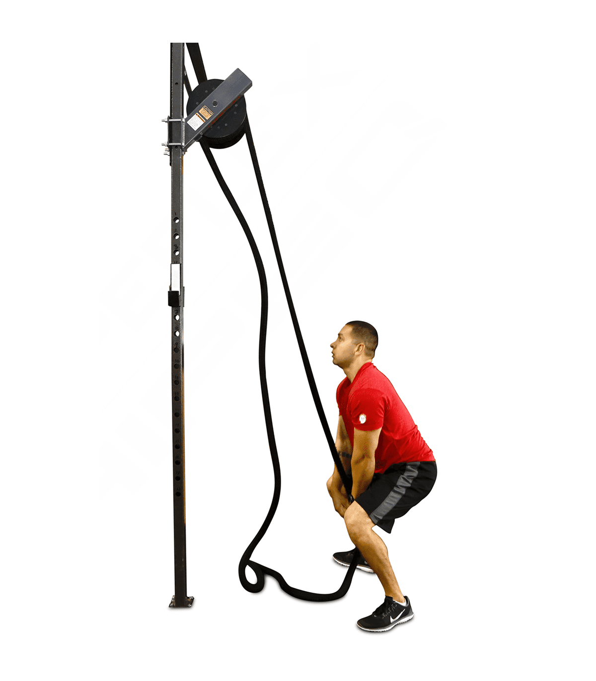 Ropeflex OX2 RX2100 Rope Trainer Ropeflex OX2 RX2100 Rope Trainer
