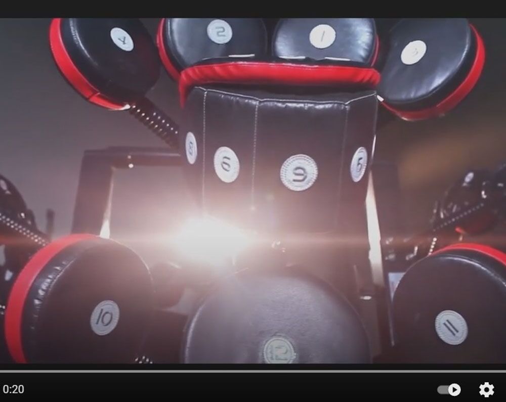 StairMaster BoxMaster Quad