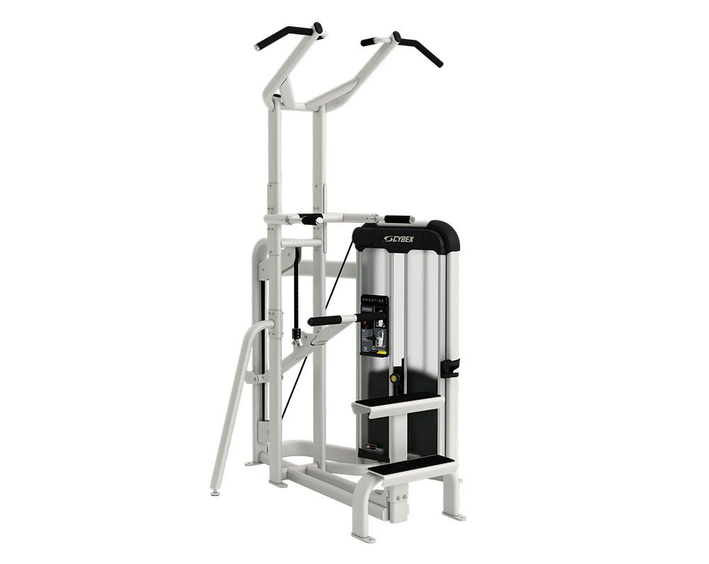 Cybex Prestige Strength VRS Chin Dip