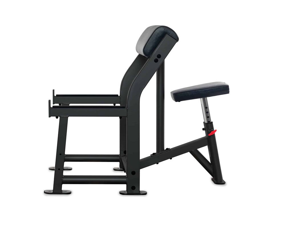 IF-Preacher Curl Bench