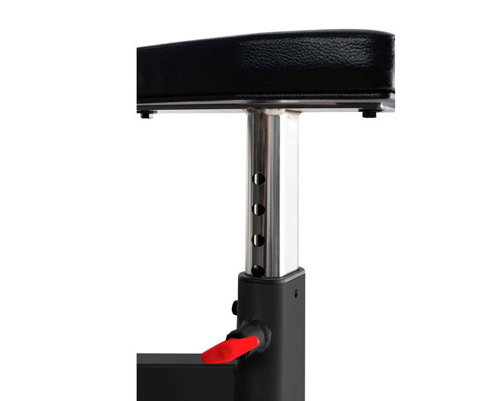 IF-Preacher Curl Bench