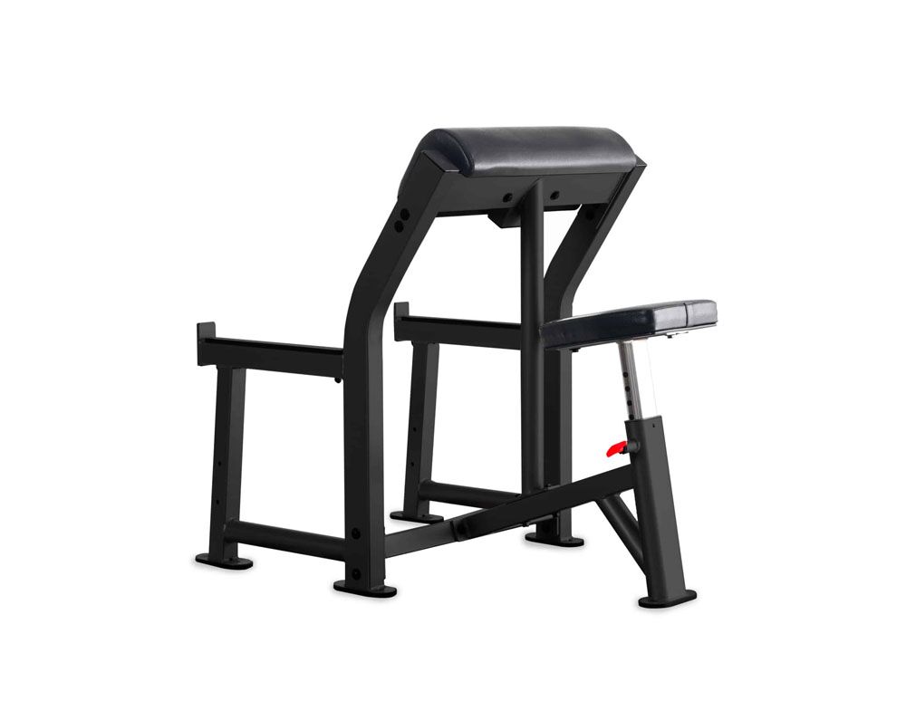 IF-Preacher Curl Bench