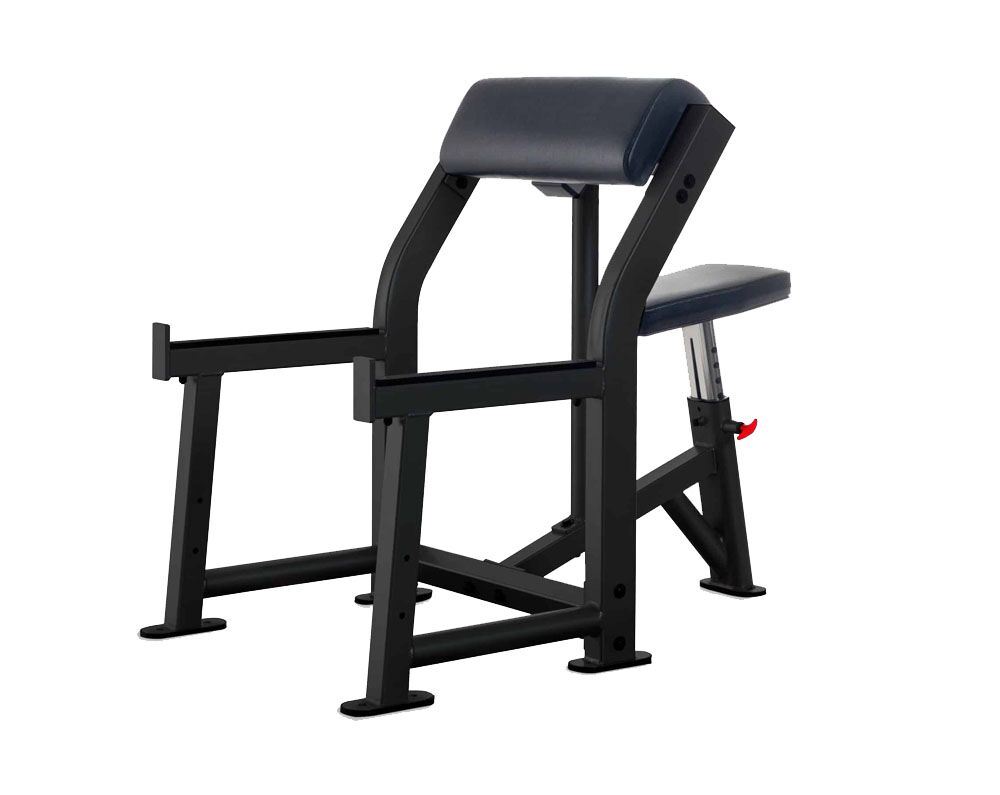 IF-Preacher Curl Bench