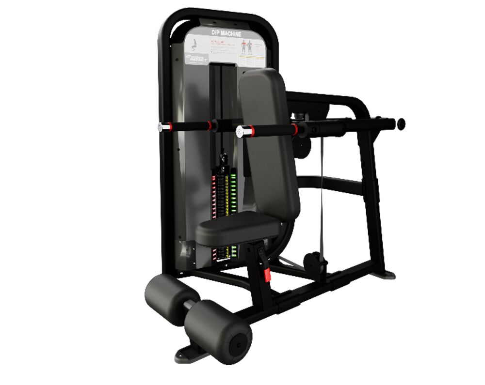 Nautilus Impact Dip Machine