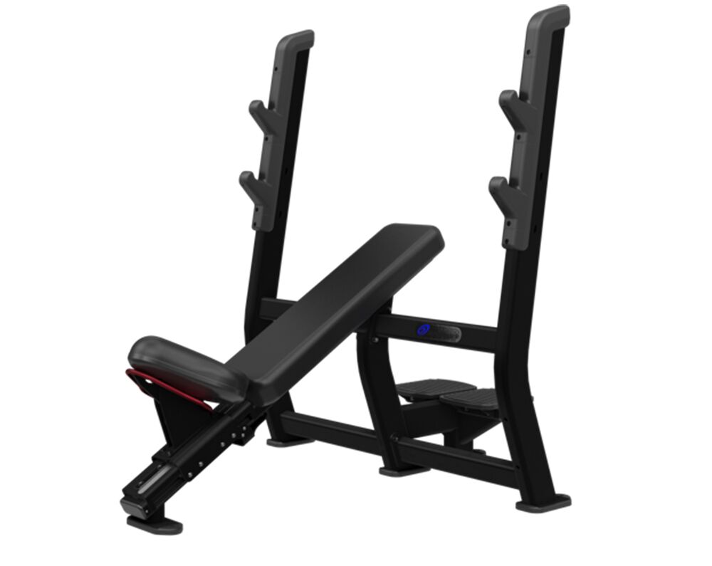 Nautilus Incline Bench Press