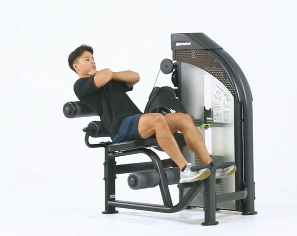 SportsArt DF306 Back Extension Ab Crunch-2