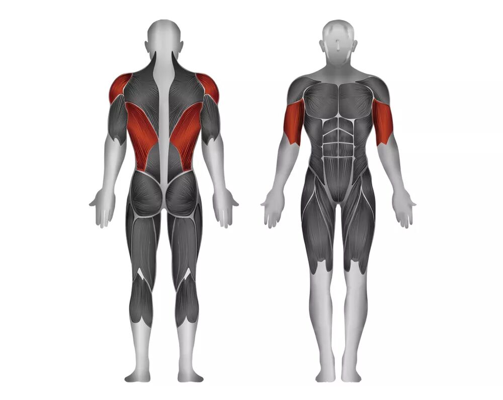 Steelflex JGRM1700 Seated Row-1