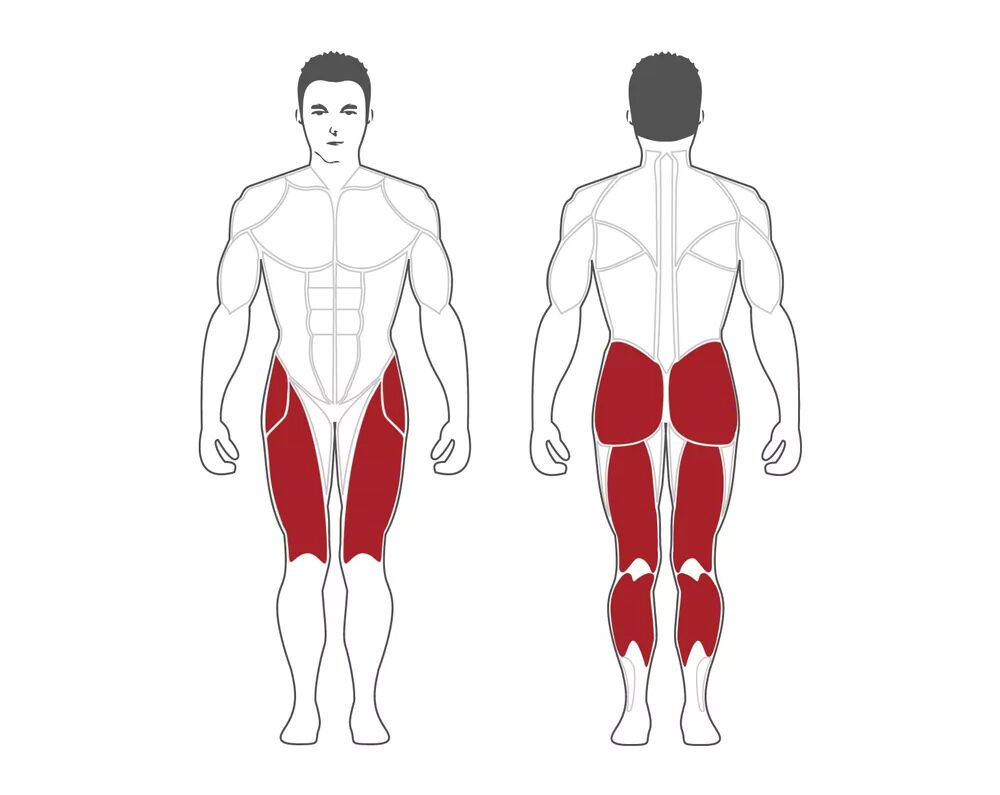 Steelflex MG200B Multi-Gym-2