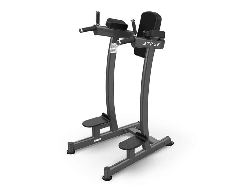TRUE Fitness XFW-6400 Vertical Knee Raise Dip