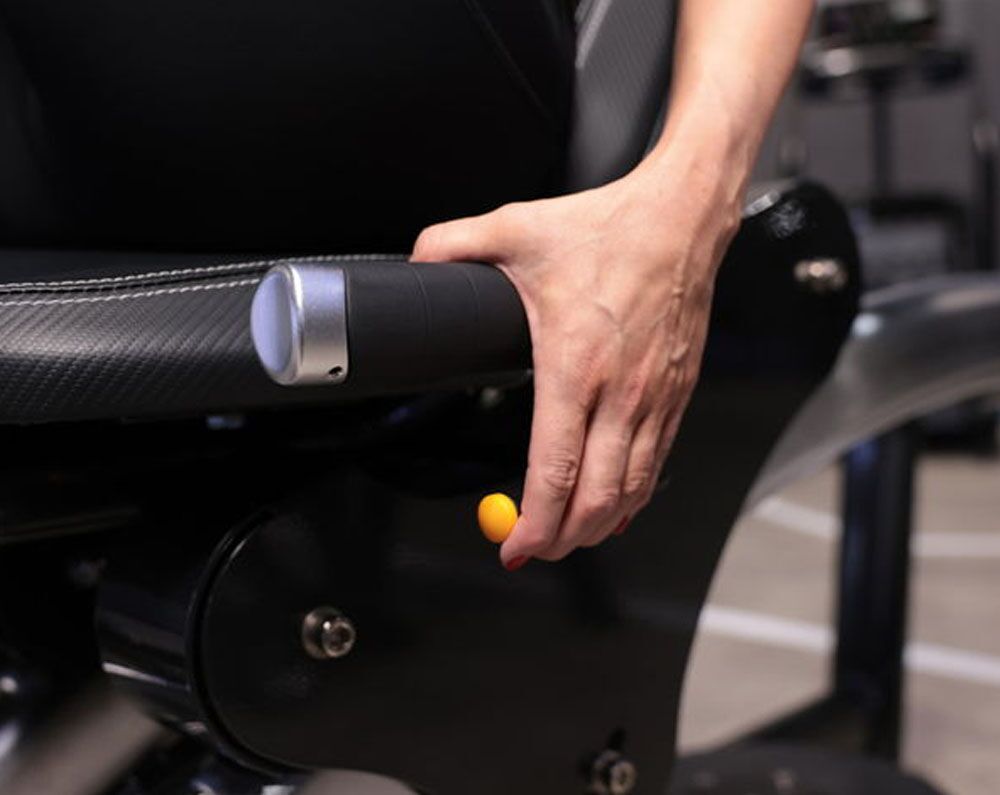 insignia-series-arc-leg-press