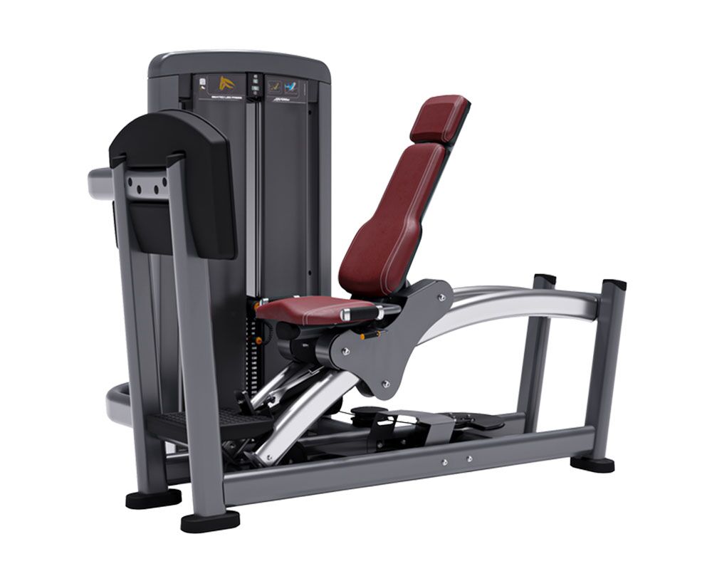 insignia-series-arc-leg-press