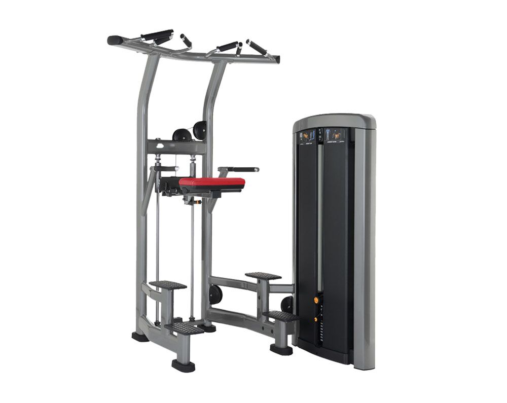 insignia-series-assist-dip-chin