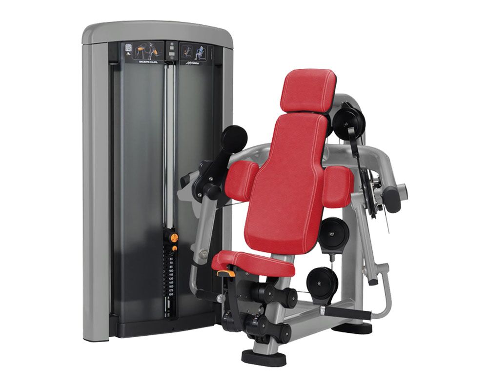 insignia-series-biceps-curl