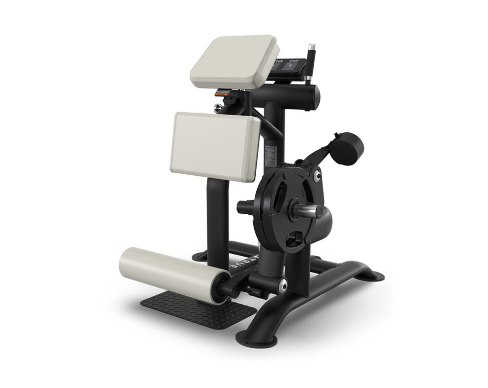 True Palladium PLS-1300 Standing Leg Curl