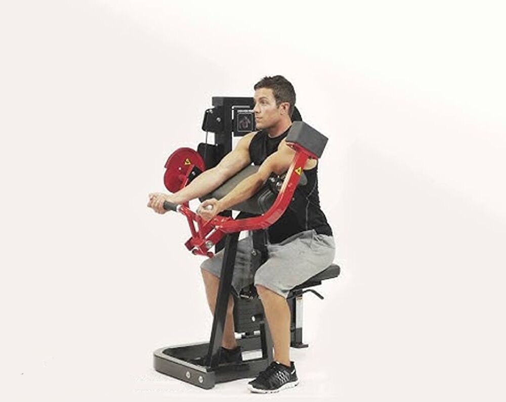 Hammer Strength Select Biceps Curl