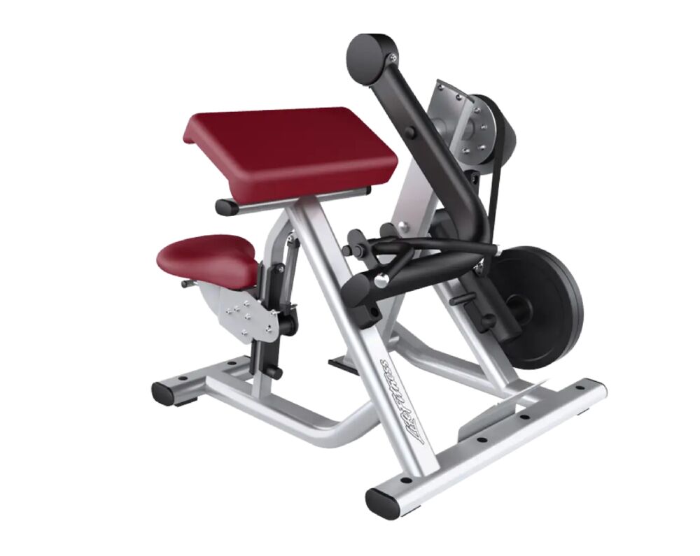 Life Fitness Signature Series Biceps Curl