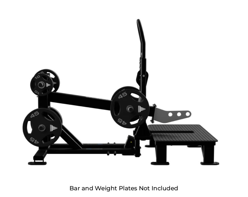 Nautilus Belt Squat (5)
