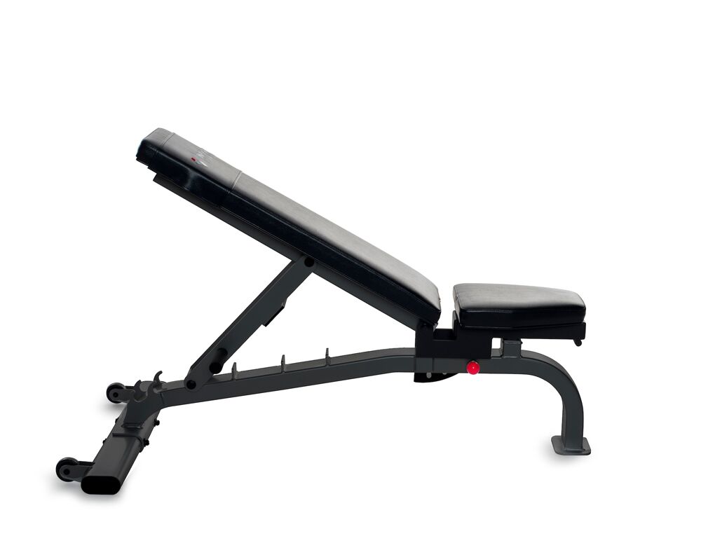 IF-FID Bench