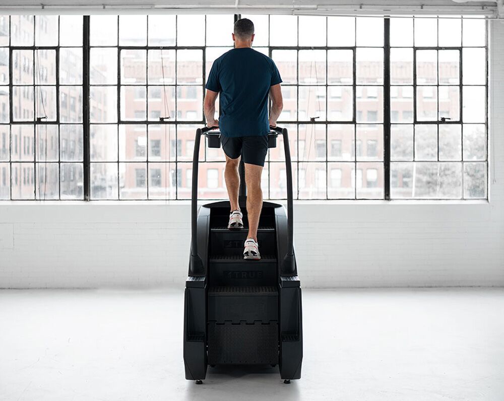 True Fitness Palisade Climber