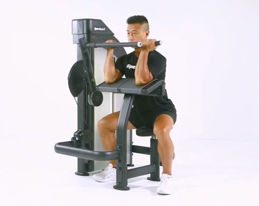 SportsArt P812