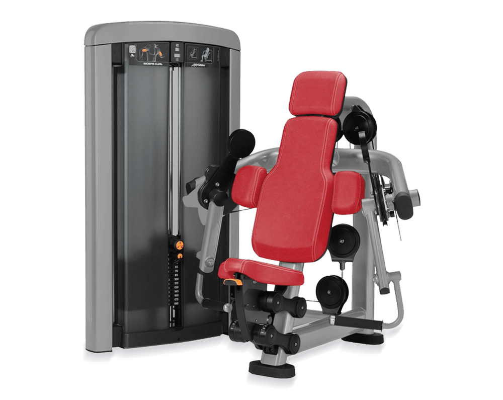insignia-series-biceps-curl