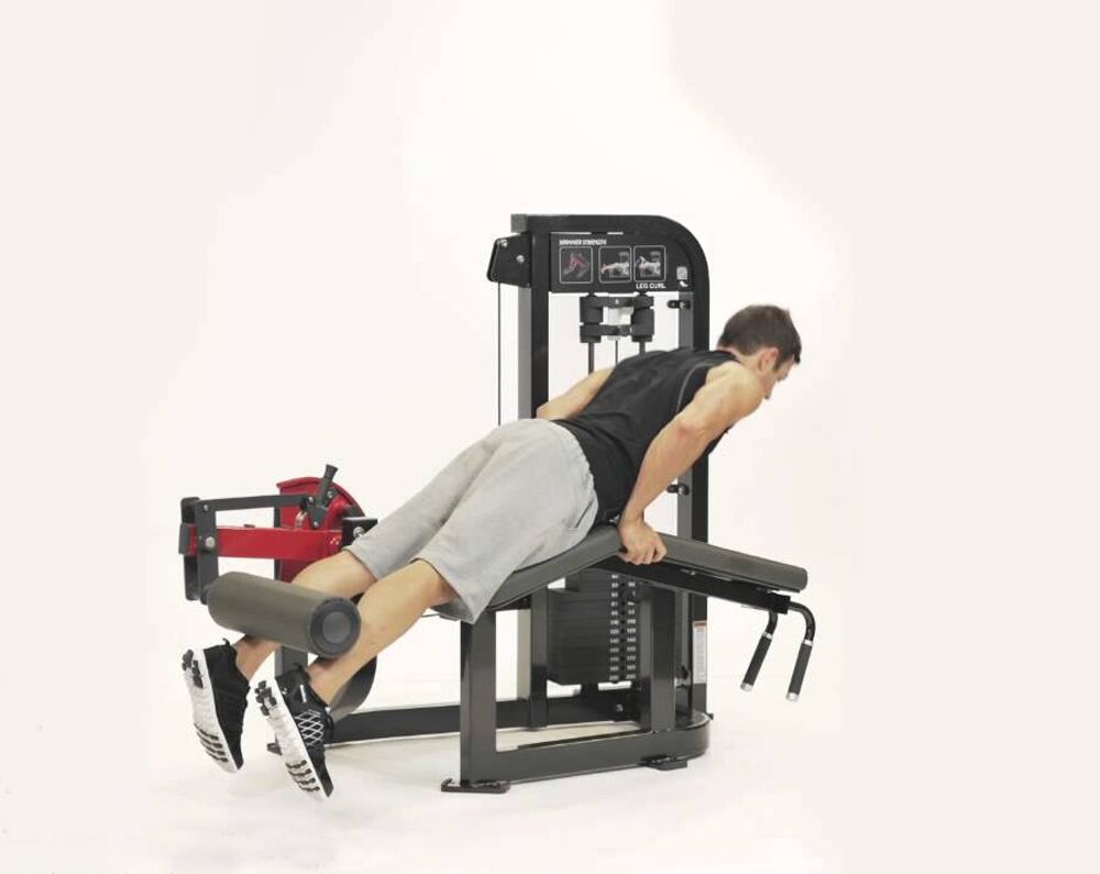 Hammer Strength Select Leg Curl