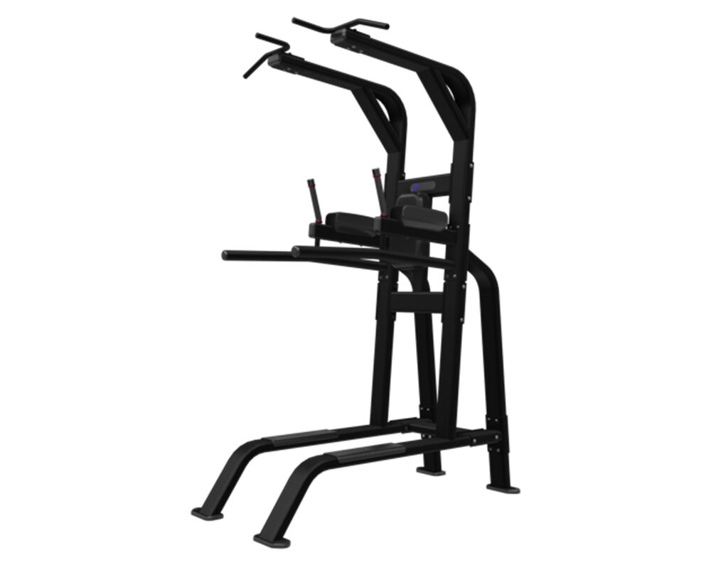 Nautilus Pull-Up Dip Leg Raise