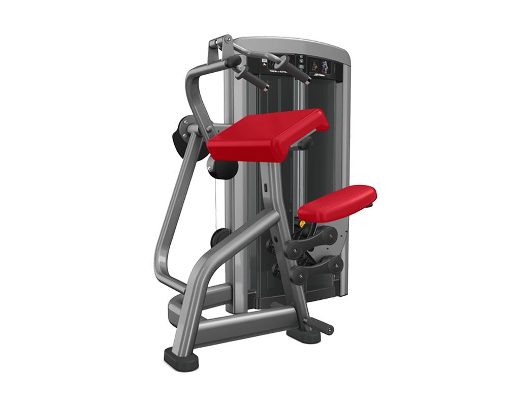 insignia-series-triceps-extension