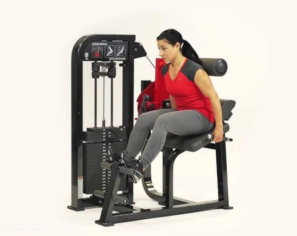 Hammer Strength Select Back Extension