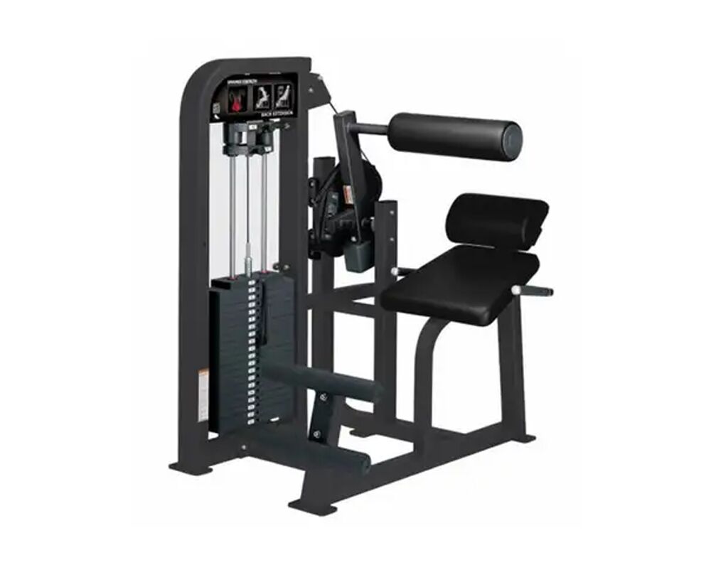 Hammer Strength Select Back Extension