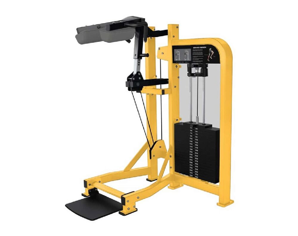 Hammer Strength Select Standing Calf HS-SC (6)