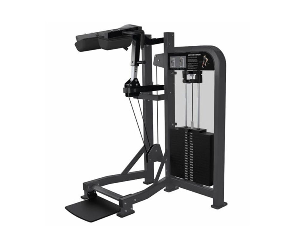 Hammer Strength Select Standing Calf