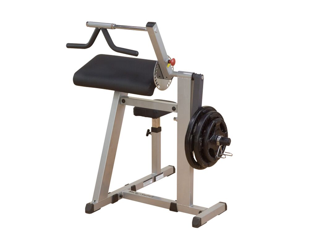 Body Solid Biceps & Triceps Machine (GCBT380)