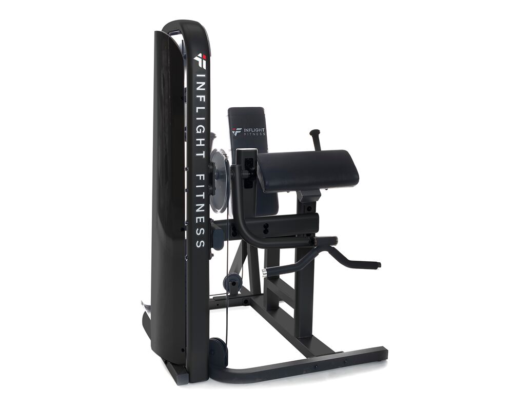 IF-multi-bicep-tricep