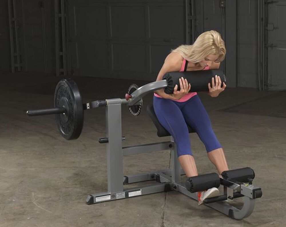 Body-Solid Ab & Back Machine (GCAB360)