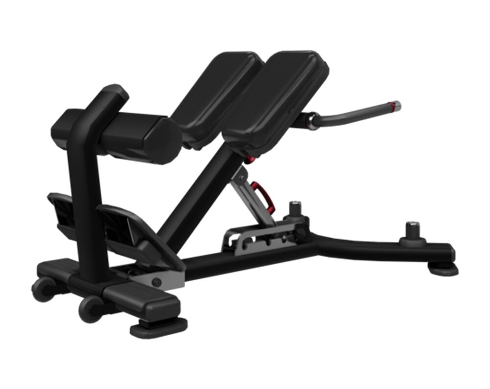 Nautilus Adjustable Back Extension