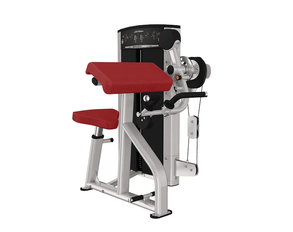 Life-Fitness-Axiom-series-biceps-triceps