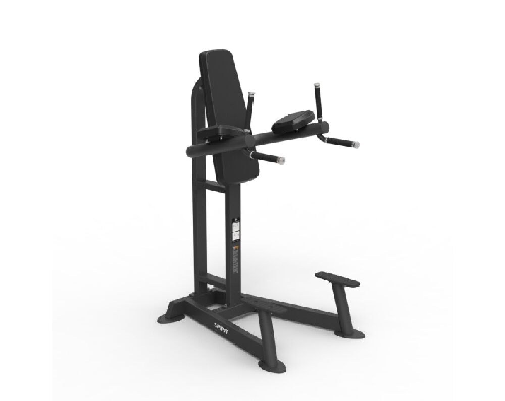 Spirit Vertical Leg Raise Dip CSF-VKRD (1)