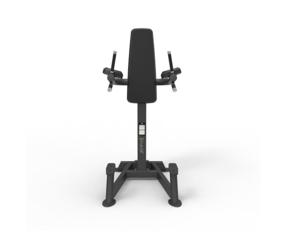 Spirit Vertical Leg Raise Dip CSF-VKRD