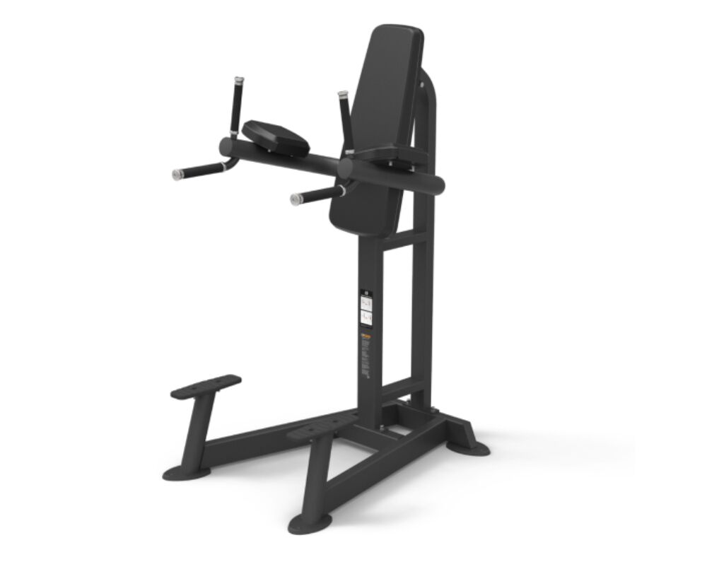 Spirit Vertical Leg Raise Dip CSF-VKRD