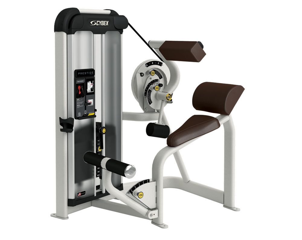 Cybex Prestige Strength VRS Back Extension | Fitness Direct