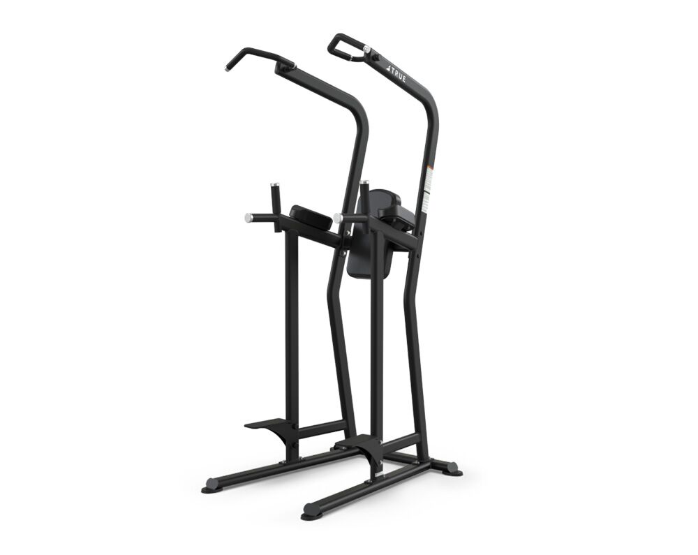 True Fitness FS-23 Knee Raise Dip Chin