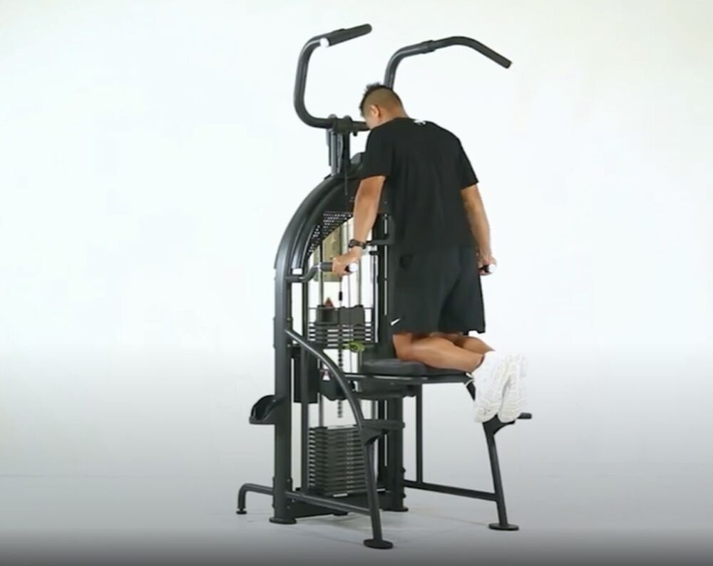 SportsArt DF307 Assisted Chin-Up Tricep Dip-2